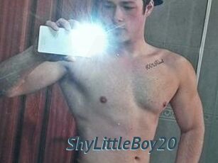 ShyLittleBoy20