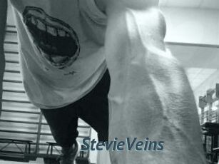 StevieVeins