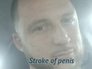 Stroke_of_penis