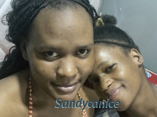 Sandycanice