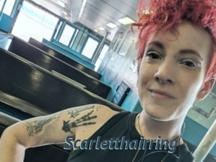 Scarletthairring