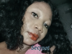 Secypot