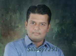 Siliboy7291