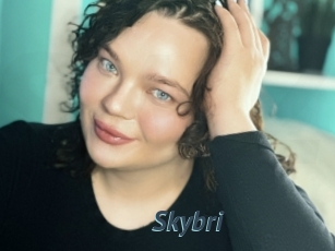 Skybri