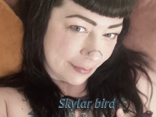 Skylar_bird