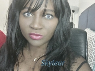 Skyleur