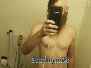 Sodomymike