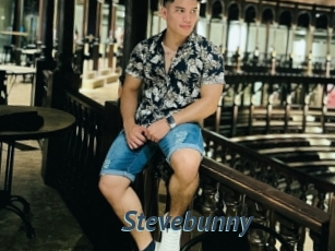 Stevebunny