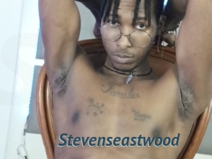 Stevenseastwood