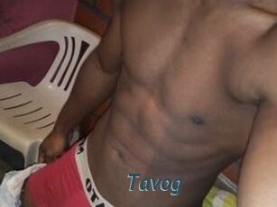 Tavog