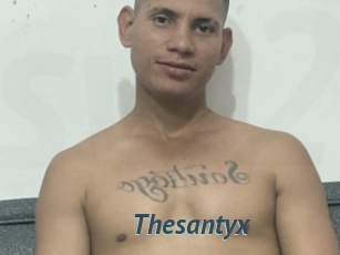 Thesantyx