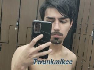 Twunkmikee