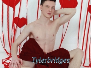 Tylerbridges