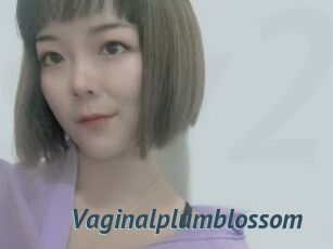 Vaginalplumblossom