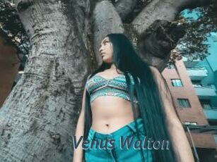 Venus_Walton