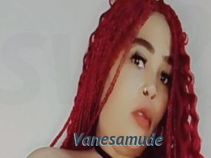 Vanesamude