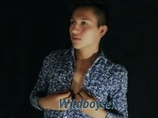 Wildboysex