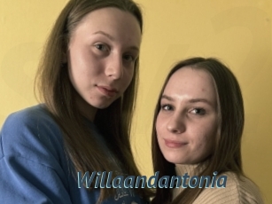 Willaandantonia