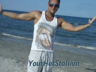 YourHotStallion