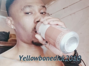 Yellowbonedick2010