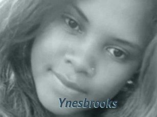 Ynesbrooks