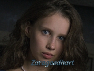 Zaragoodhart