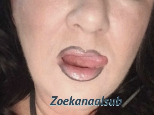 Zoekanaalsub